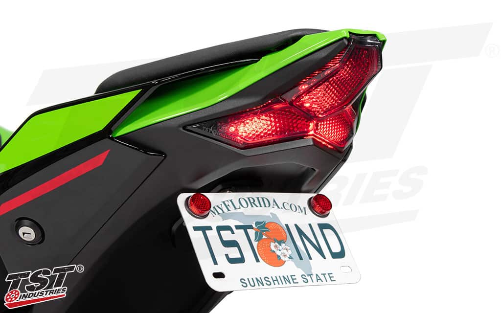 SAVAGE Integrated LED Tail Light For Kawasaki Z1000, Ninja 400, ZX6R, ZX10R – Clear/Smoke/Red – TL1438058